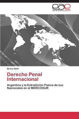 Derecho Penal Internacional [Spanish] 384549283X Book Cover