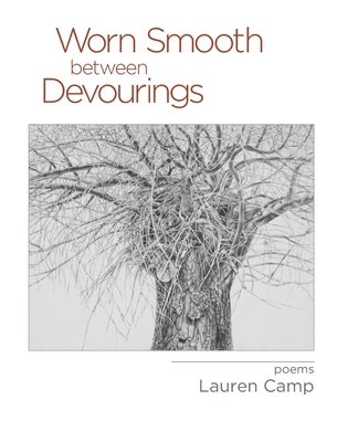 Worn Smooth between Devourings 1630451029 Book Cover