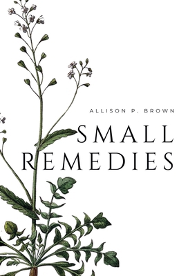 Small Remedies B0FM2W5JTY Book Cover