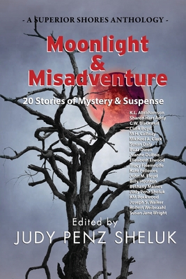 Moonlight & Misadventure: 20 Stories of Mystery... 1989495397 Book Cover