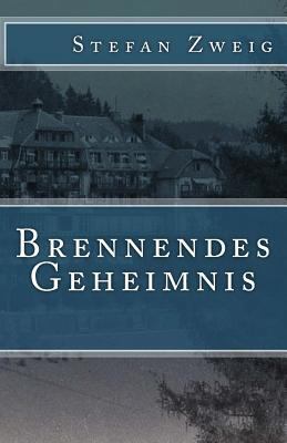 Brennendes Geheimnis [German] 1539980804 Book Cover