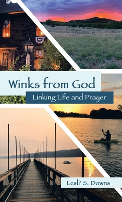 Winks from God: Linking Life and Prayer 1664240764 Book Cover
