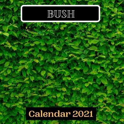 Paperback Bush Calendar 2021 Book