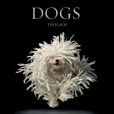 Dogs: Photographs 0810996537 Book Cover