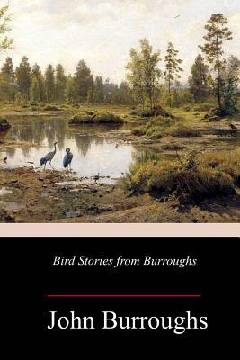 Bird Stories from Burroughs 1987402448 Book Cover