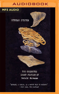 Stream System: The Collected Short Fiction of G... 1978672713 Book Cover