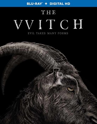 The Witch            Book Cover