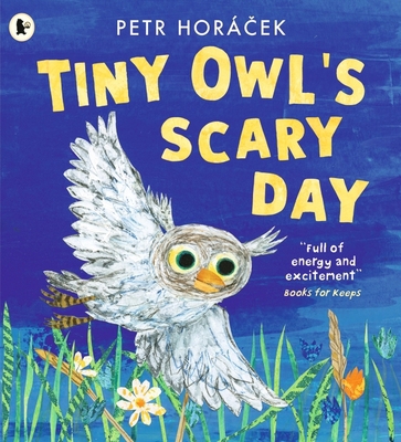 WALKER BOOKS Tiny Owls Scary Day. 1529517192 Book Cover