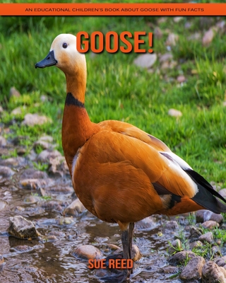 Paperback Goose! An Educational Children's Book about Goose with Fun Facts [Large Print] Book
