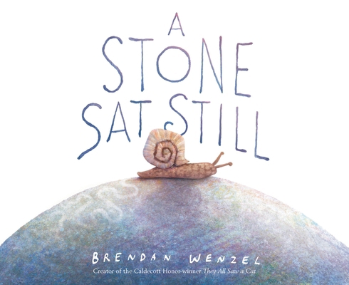 A Stone SAT Still B0FG9NF2S1 Book Cover