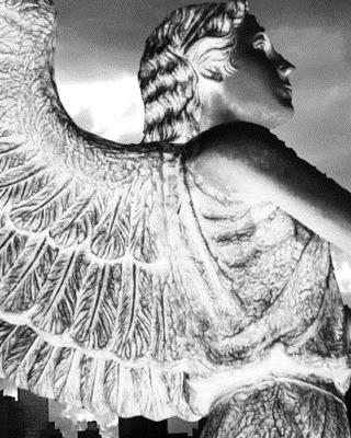 Celebration of life Angel Journal: Celbration o... 0464252822 Book Cover