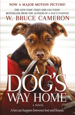A Dog's Way Home Movie Tie-In 1250301890 Book Cover