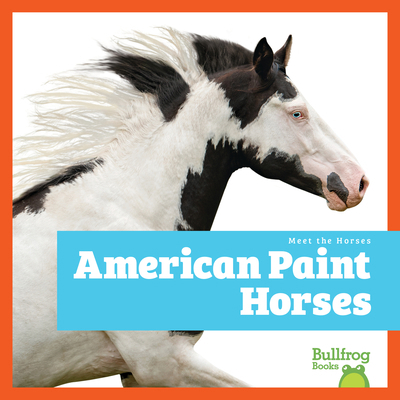 American Paint Horses Book Cover