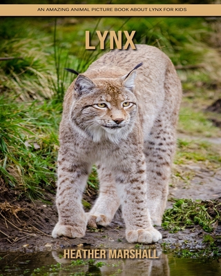 Paperback Lynx: An Amazing Animal Picture Book about Lynx for Kids [Large Print] Book