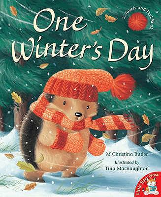 One Winter's Day 1845063880 Book Cover