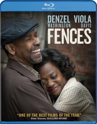 Fences B01LTI0KQA Book Cover