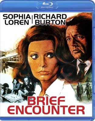 Brief Encounter            Book Cover
