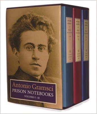 Prison Notebooks: Volumes 1, 2 & 3 023115755X Book Cover