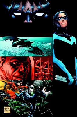 Nightwing: Freefall (Nightwing (Graphic Novels)) 1401219659 Book Cover