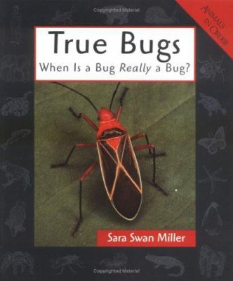 True Bugs: When Is a Bug Really a Bug? (Animals... 0531159221 Book Cover
