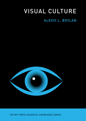 Visual Culture 0262539365 Book Cover