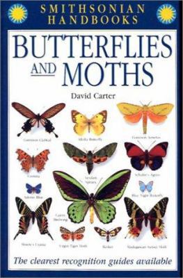 Butterflies and Moths 0613530845 Book Cover