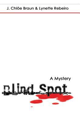 Blind Spot 1419648233 Book Cover