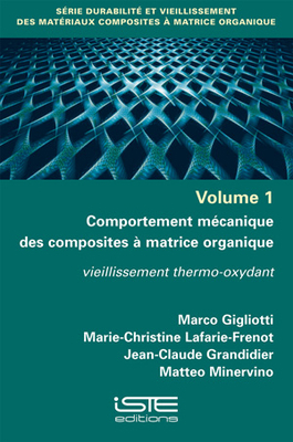 International Classification of Functioning, Di... 1784052833 Book Cover