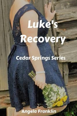 Luke's Recovery 154672947X Book Cover