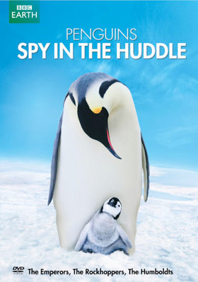 Penguins: Spy in the Huddle            Book Cover
