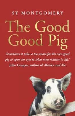 The Good Good Pig 0340910097 Book Cover