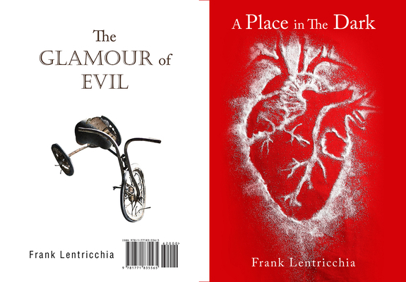 A Place in the Dark/ The Glamour of Evil: Volum... 1771835311 Book Cover