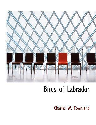 Birds of Labrador 1116072319 Book Cover