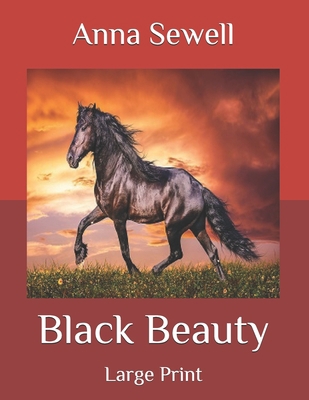 Black Beauty: Large Print B08B3628X8 Book Cover