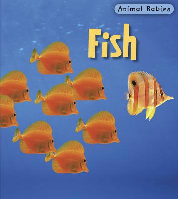 Fish (Animal Babies) 1403492506 Book Cover