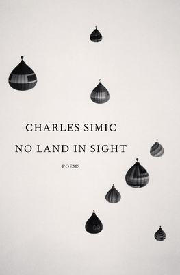 No Land in Sight: Poems 059353493X Book Cover