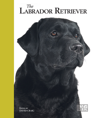 The Labrador Retriever 1906305218 Book Cover