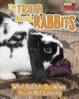 The Truth about Rabbits: What Rabbits Do When Y... 141098608X Book Cover