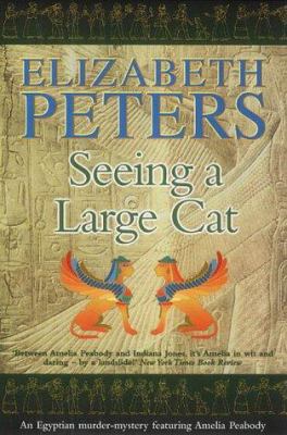 Seeing a Large Cat 1841194867 Book Cover