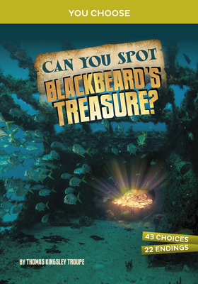 Can You Spot Blackbeard's Treasure?: An Interac... 1669031977 Book Cover