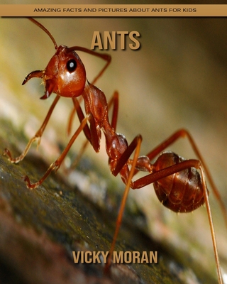 Paperback Ants: Amazing Facts and Pictures about Ants for Kids [Large Print] Book