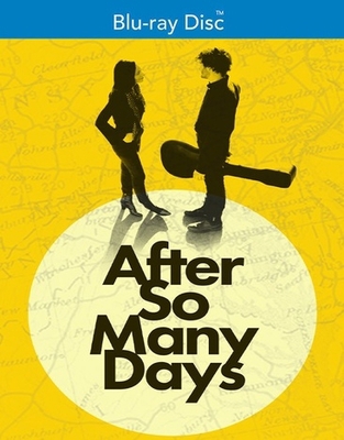 After So Many Days            Book Cover