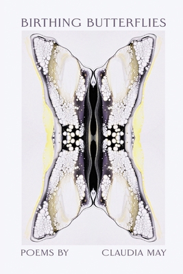 Birthing Butterflies B0DN2RK4JG Book Cover