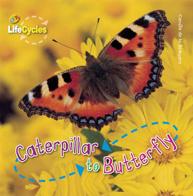 Caterpillar to Butterfly 1595667423 Book Cover