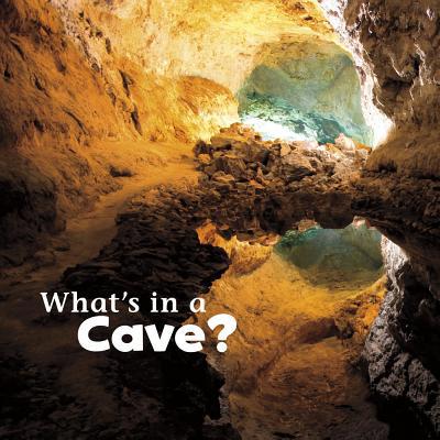 What's in a Cave? 1491460091 Book Cover