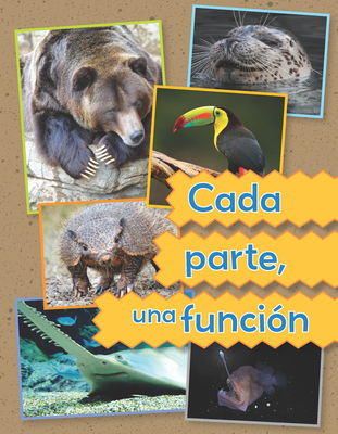 Cada Parte, Una Función [Spanish] 1669940071 Book Cover