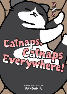 Catnaps, Catnaps Everywhere! B0FWBBM82S Book Cover