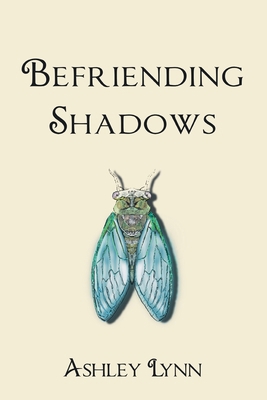 Befriending Shadows 1734212187 Book Cover