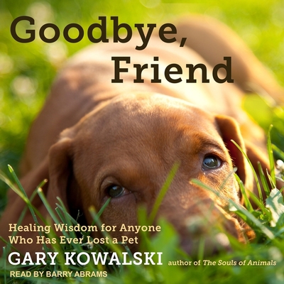 Goodbye, Friend: Healing Wisdom for Anyone Who ... 1665245018 Book Cover