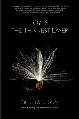 Joy Is the Thinnest Layer 1938846648 Book Cover